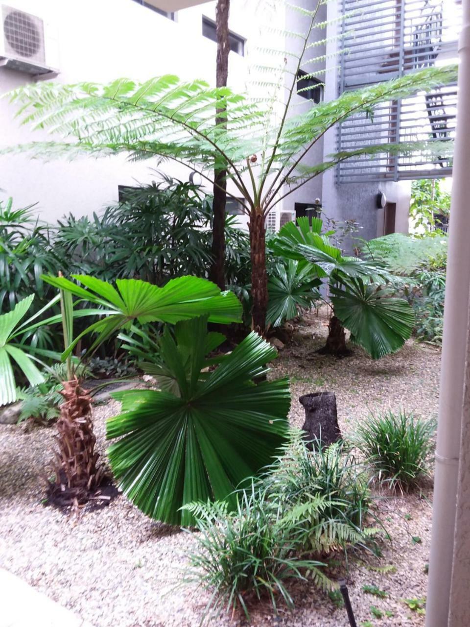 Jackies City Central Apartment Cairns Exterior foto